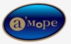 amore logo