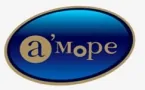 amore logo